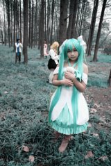 格安 VOCALOID 初音ミク 派生 人柱アリス風 コスプレ ウィッグ