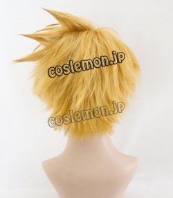 画像3: 僕のヒーローアカデミア 上鳴電気風 かみなりでんき チャージズマ コスプレウィッグ