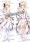 画像1: Fate/Grand Order セイバー アルトリア・ペンドラゴン風 02 リリィ ●等身大 抱き枕カバー (1)