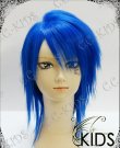 画像2: 格安 VOCALOID KAITO カイト風 龍ノ啼ク箱庭拠リ ウィッグ