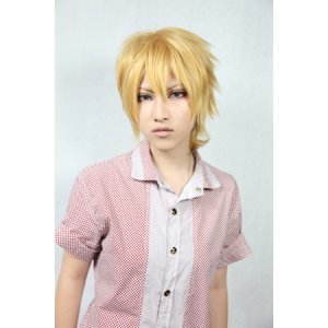 画像: デュラララ!! 平和島静雄 03 コスプレ ウィッグ