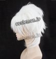 画像2: Fate/Apocrypha フェイト/アポクリファ シロウ・コトミネ風 天草四郎時貞 コスプレウィッグ