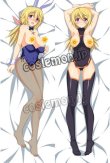 画像1: Infinite Stratos シャルロット·デュノア風 02 ●等身大 抱き枕カバー